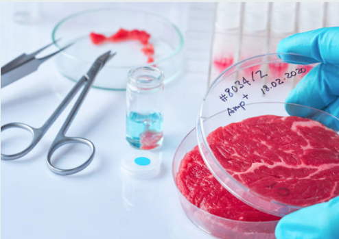 Carne in vitro o de laboratorio